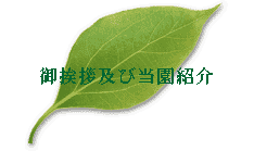 䈥AyѓЉ